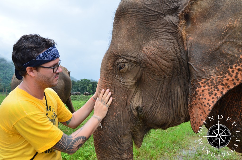 Cody with the beautiful elephants