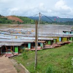 Taking the Slow Boat to Luang Prabang